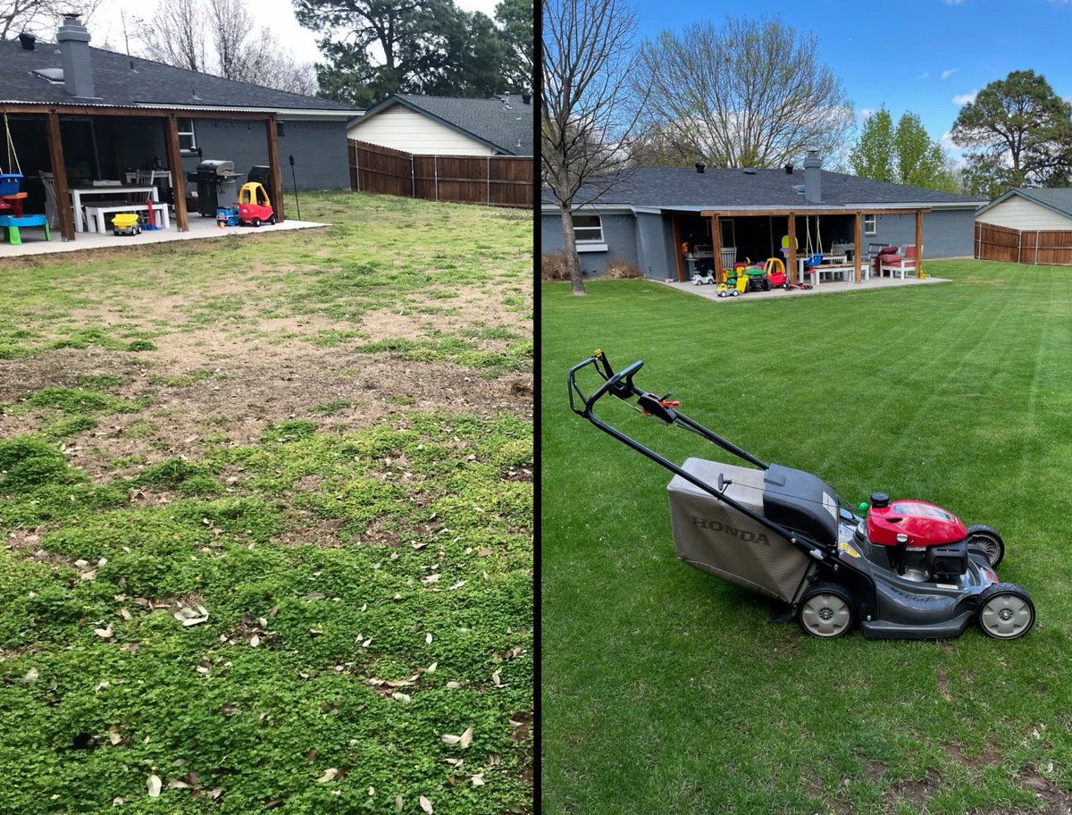 yardmastery tweet media