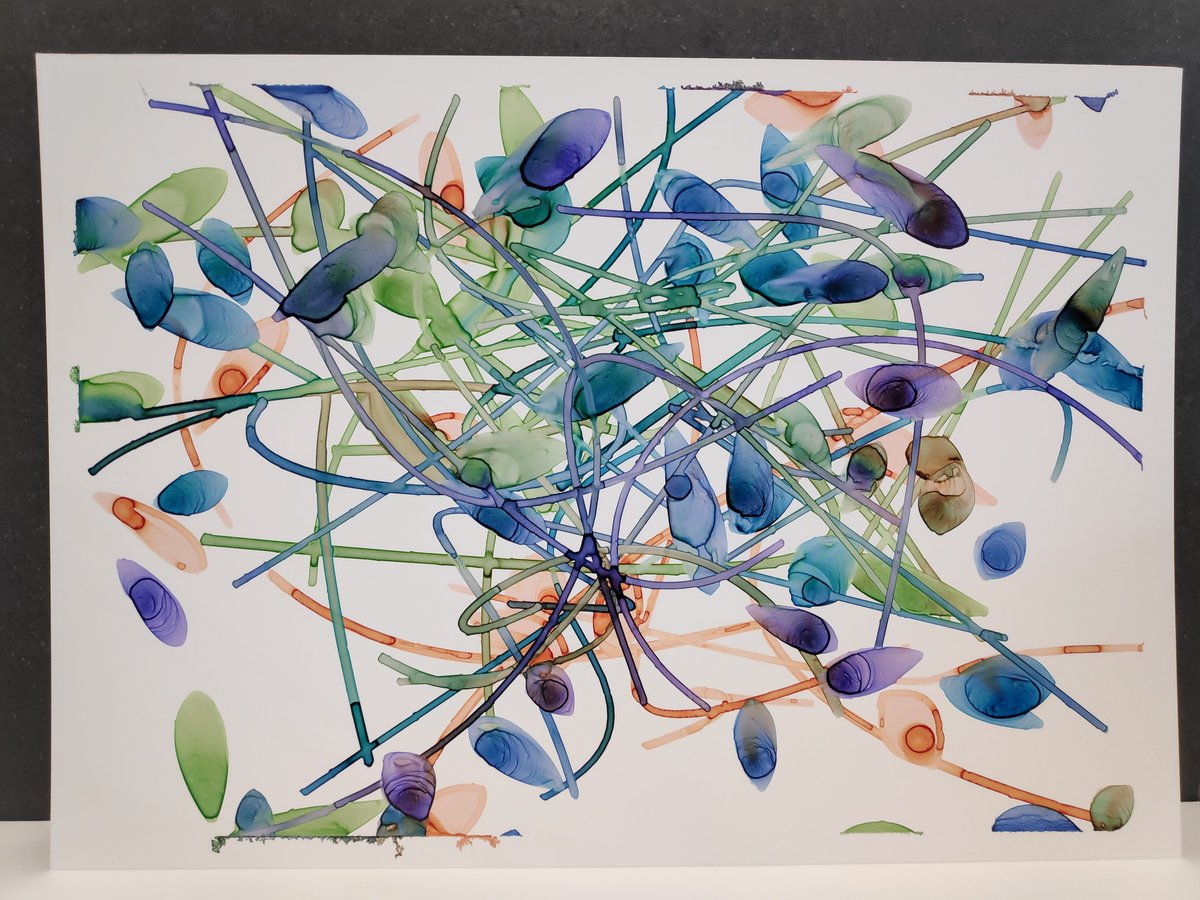 alegiaco2's tweet photo. watercolor, 30x42cm
#plottertwitter #generativeart #creativecoding #robotart https://t.co/BSohHn5fLg
