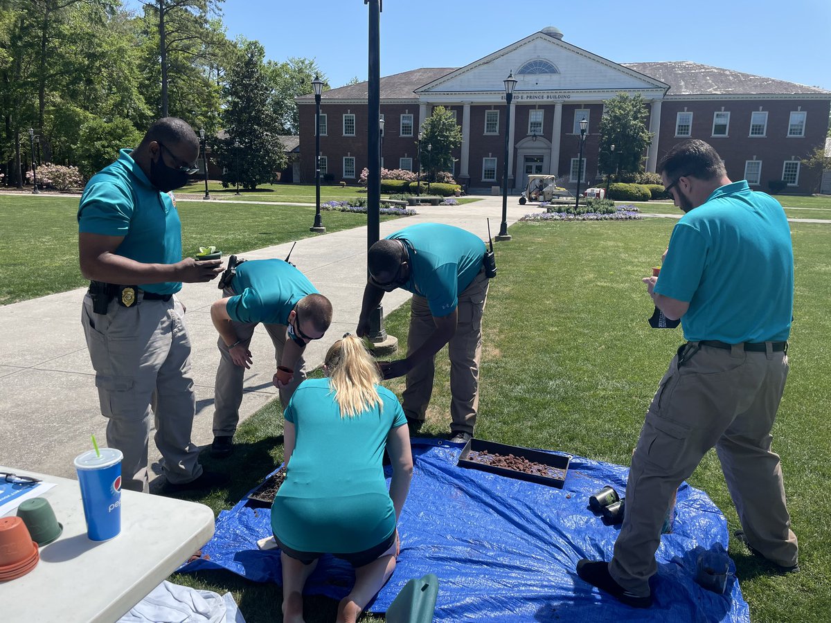 CINO Card Office tweet media