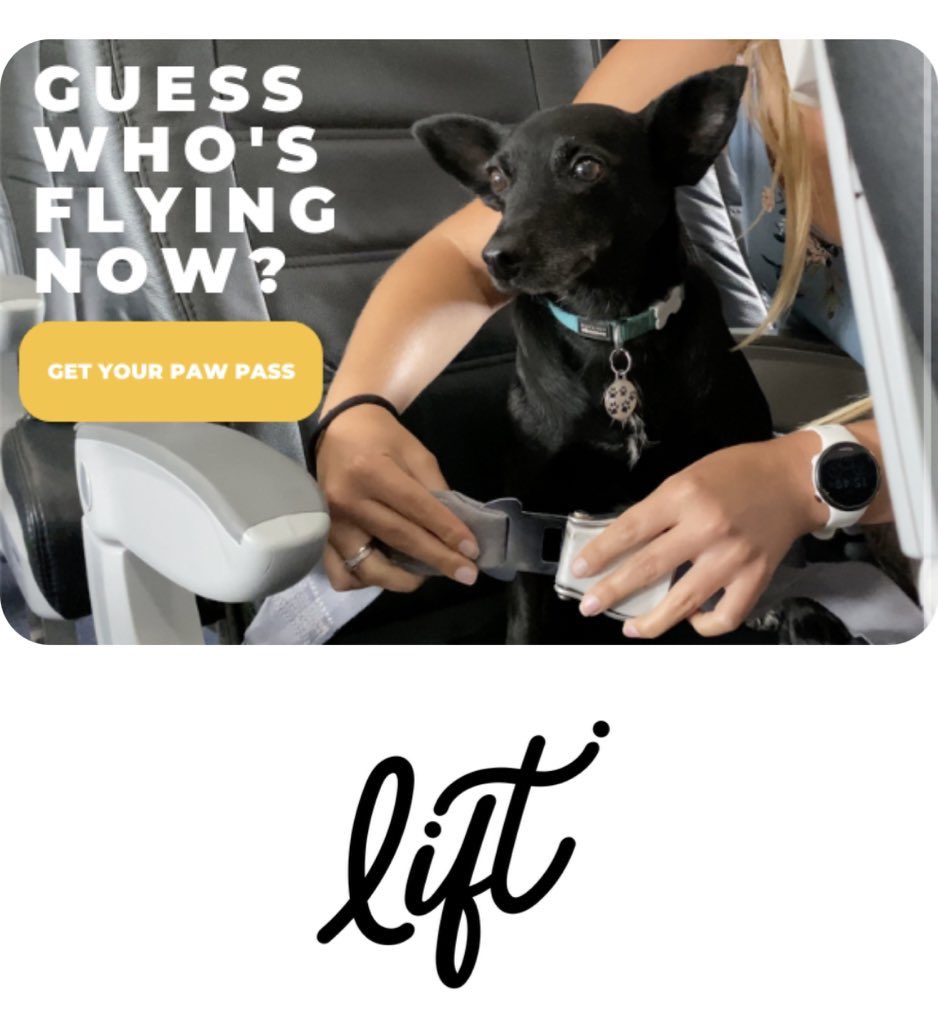 Best news ever!! 🐶 <a href="/LiftAirlineSA/">LIFT Airline</a> 👏🙌🌟