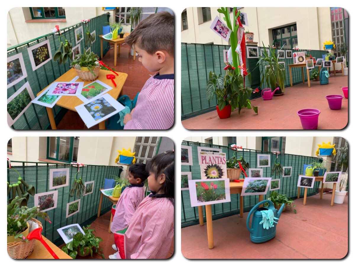 Nazaret Oporto tweet media