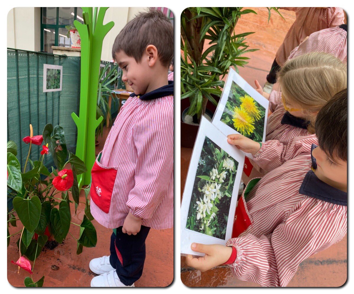 Nazaret Oporto tweet media