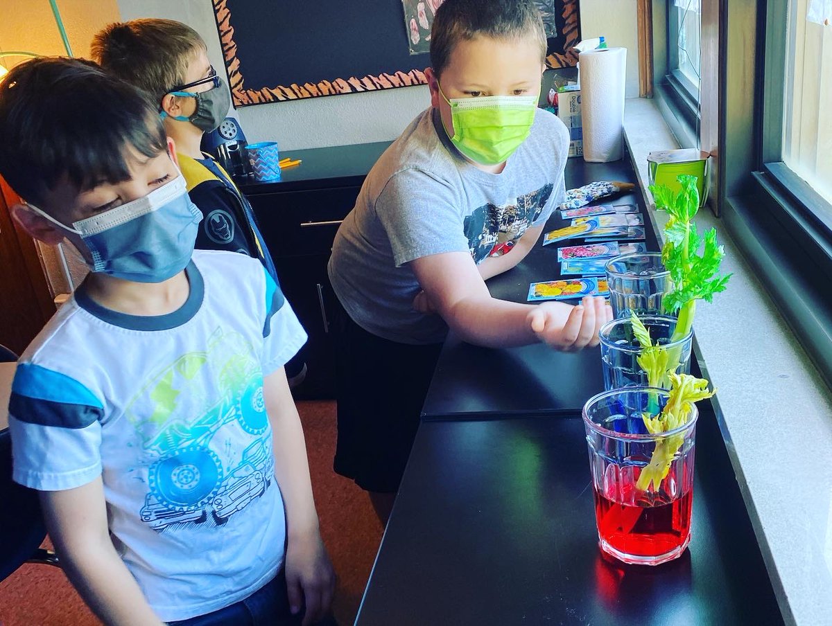 Lindsey Johnson (@ljohnsonteacher) on Twitter photo Busy day of planting, making observations, journaling, and enjoying friendship! “Miss J, this is amazing! I’ve never seen so many seeds!” 🪴<a href="/3TrailsTigers/">Three Trails Elem.</a> <a href="/ISDSchools/">Independence School District</a> <a href="/CityOfIndepMO/">City of Independence, MO</a> #3tepride #isdstrong #kcedu #2ndgrade Busy day of planting, making observations, journaling, and enjoying friendship! “Miss J, this is amazing! I’ve never seen so many seeds!” 🪴<a href="/3TrailsTigers/">Three Trails Elem.</a> <a href="/ISDSchools/">Independence School District</a> <a href="/CityOfIndepMO/">City of Independence, MO</a> #3tepride #isdstrong #kcedu #2ndgrade