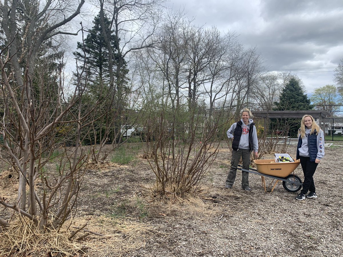 NeptuneGGrove's tweet photo. Today the STEM teachers and Mr. Woerner unwrapped the fig trees and cleaned up our orchard.  Did you know soil is essential for all life on Earth! We can’t wait to start harvesting the 🍓🫐and🌰 #Science  #gardening @Neptune_STEM @TamiCrader @NeptuneSchools @GablesGator https://t.co/23wLYUvrSV