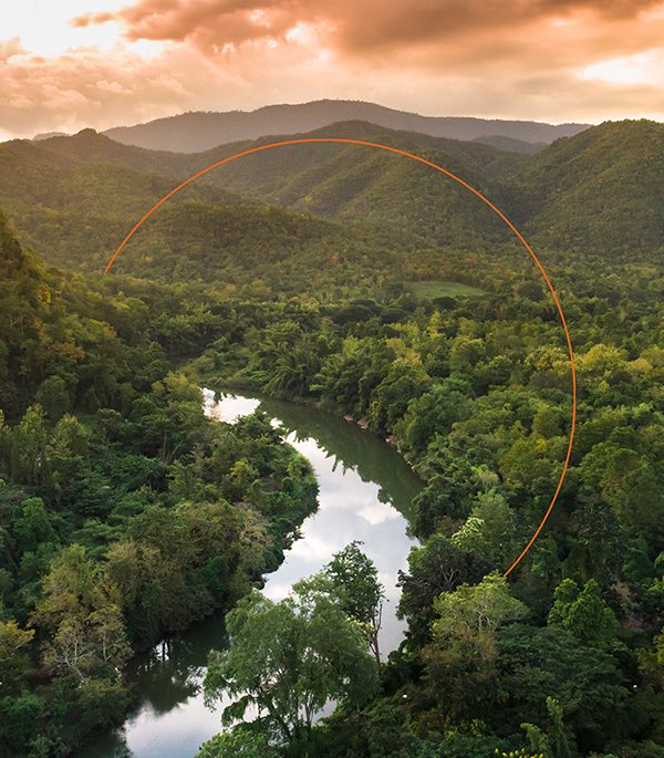 PricelessPlanet's tweet photo. Reforestation at a large scale is a cost-efficient, nature-based solution for mitigating the effects of climate change. That’s why we have a goal of planting 100 million trees by 2025. 

Learn more: https://t.co/g4WY5AkhIF 

#PlantItForward https://t.co/tzhbgwnw3t