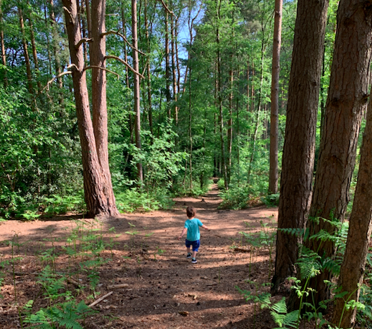 🌳PARKS &amp; WALKS 🌳 With the weather starting to look brighter, and a bit warmer why not head out and discover a new park or walk? We've got lots of ideas on the website

guildfordrocks.co.uk/things-to-do/p…

#guildford #guildfordmum #guildforddad #surrey #guildfordsurrey  #surreywalk