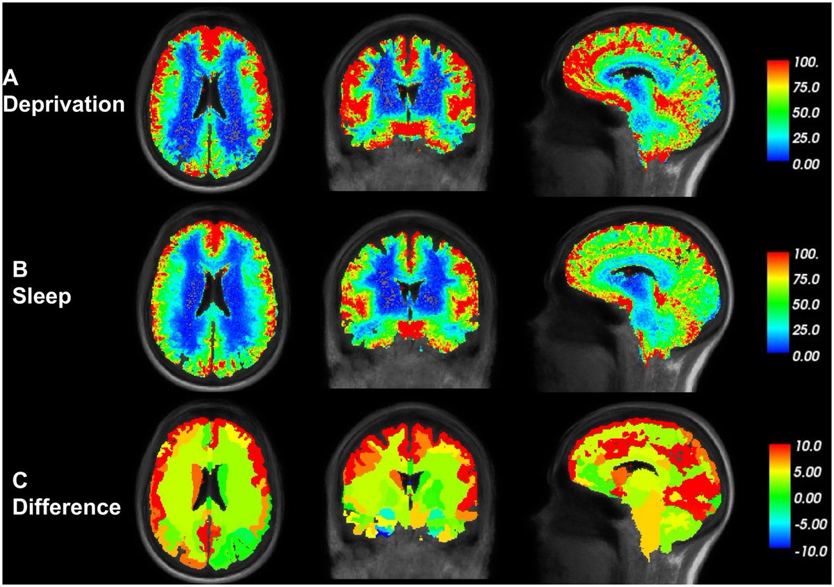 Sleep Research Society tweet media