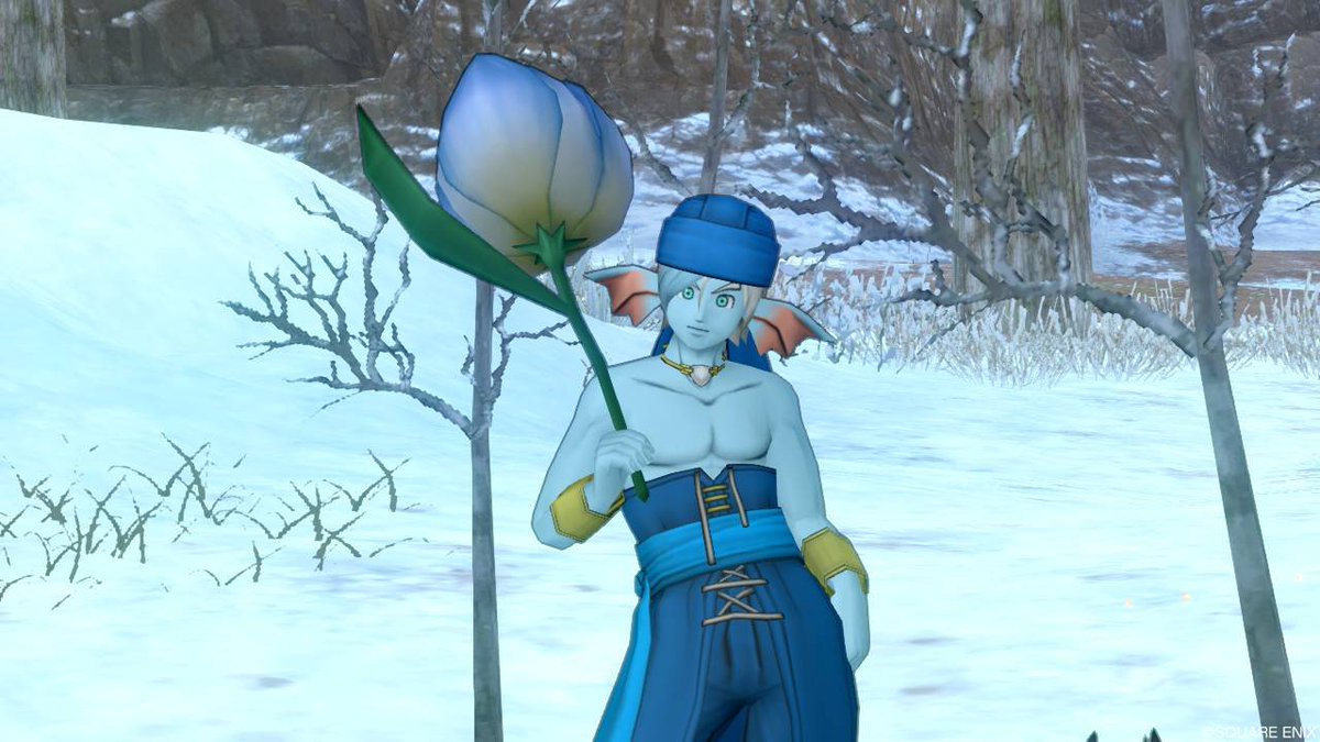 Dq10 Dq10