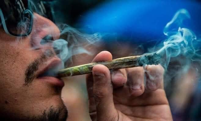 MaconheiroMemo's tweet photo. "eu como muito pq to em fase de crescimento"

a fase de crescimento: https://t.co/pfQUhcckZG