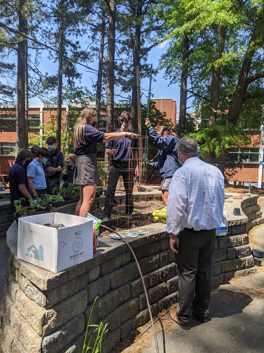 (Tomato) stakes are high for this year's crop of garden students; #organicgardening #schoolgarden