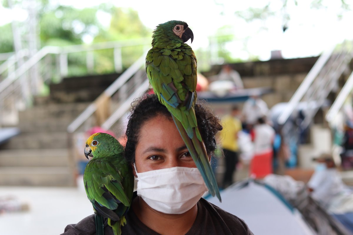 Close by Ferreira in the shelter was Tania Prada, 26, and her two parrots. She told me they're part of the family too.