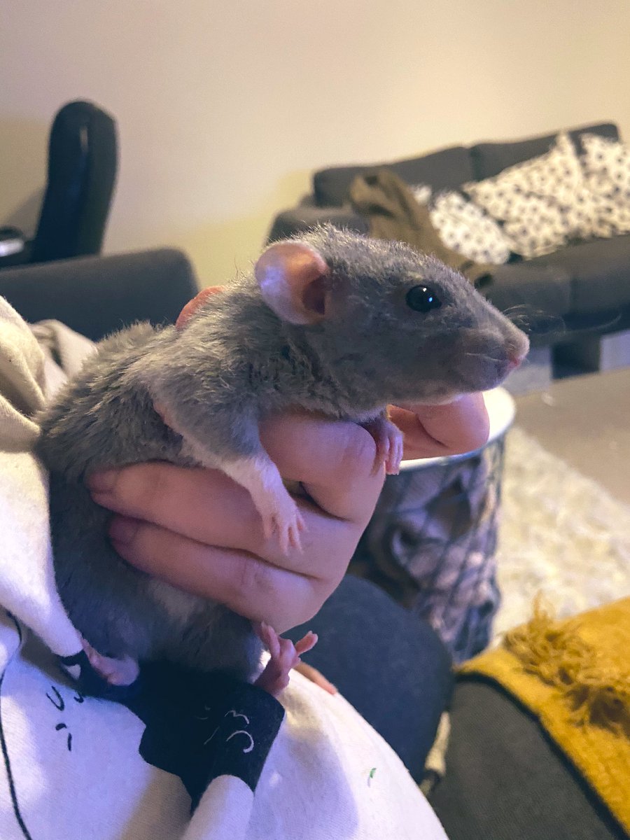 I would die for you Luna x