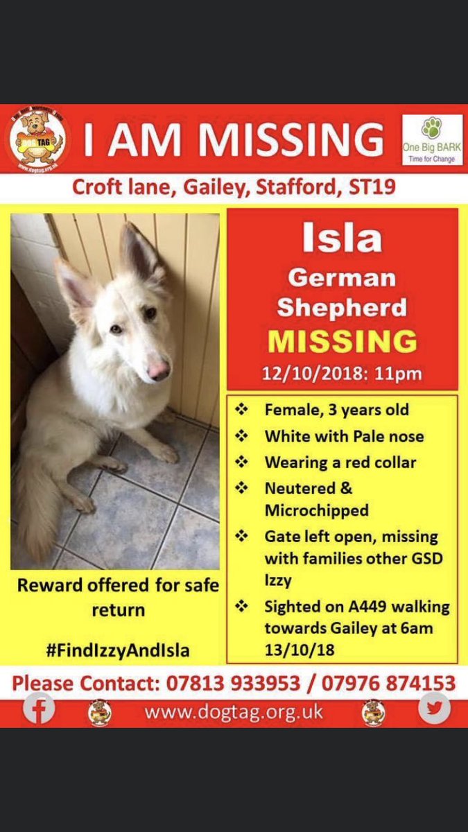 RachaelB100's tweet photo. ❗️It takes one sighting
❗️one piece of information
❗️one chip check
#findIsla
❗️RT & Look 🙏 Help her back to her loving Home🙏
#Missing #Stafford #ST19 #GSD White Female #Chipped #neutered
❗️A Dog simply does not #disappear
❗️Someone Somewhere knows
https://t.co/euARL6sSoO https://t.co/9ueWppPoxn