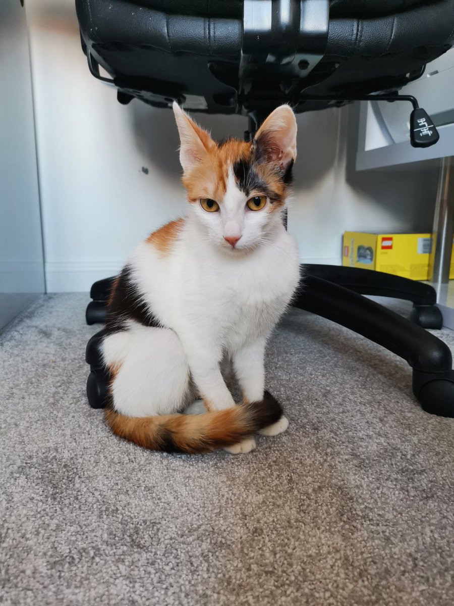 Kiddies Day Out tweet media