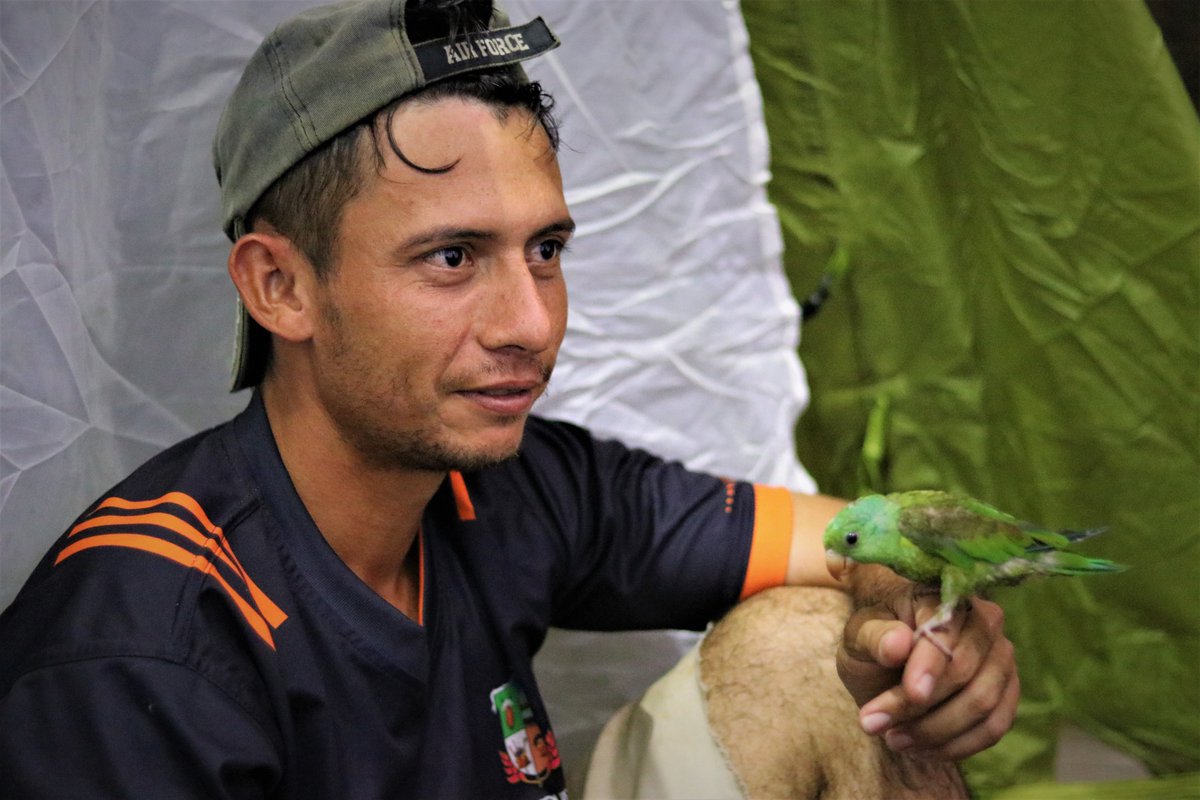 In another shelter close by, I found Lirio Hernandez, 29, and his partner Yuss, 30, from the Venezuelan border town of La Victoria, where most people had fled from. In their tent, alongside their child, they had this small bird, also called Niño.