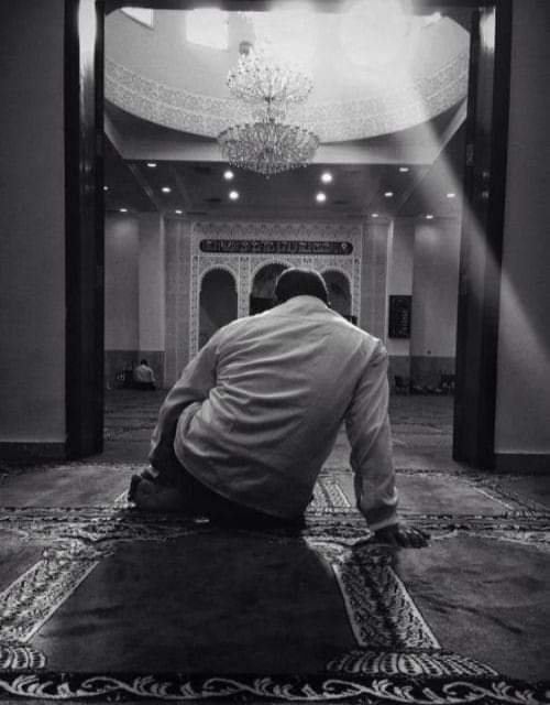 #سُجُود
"إذا تمنيتَ شيئًا بلهفةٍ ؟؟
فاسجُدْ للهِ له وقُلْ،،
ربِّ إني أحببتُ هذا ....
فأرني عجائبَ قدرتِكَ فيما أحببتُ" ..
اللَّهُمَّ اُرْزُقْنَا مَا نَتَمَنَّى يَا رَبِّ الْعَالَمِينَ ..