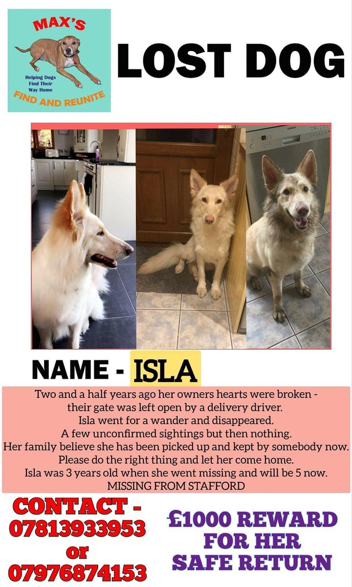 colliesontherun's tweet photo. #findIsla
I’m still missing
I’m a white #GermanShepherd
I look different colours under different light settings
Do you think you could of seen me
Anyone know where I’ve been since 12/4/18
I was lost from my home #Gailey #Stafford and I really want to go home now 😪 https://t.co/RGMKoltMR2
