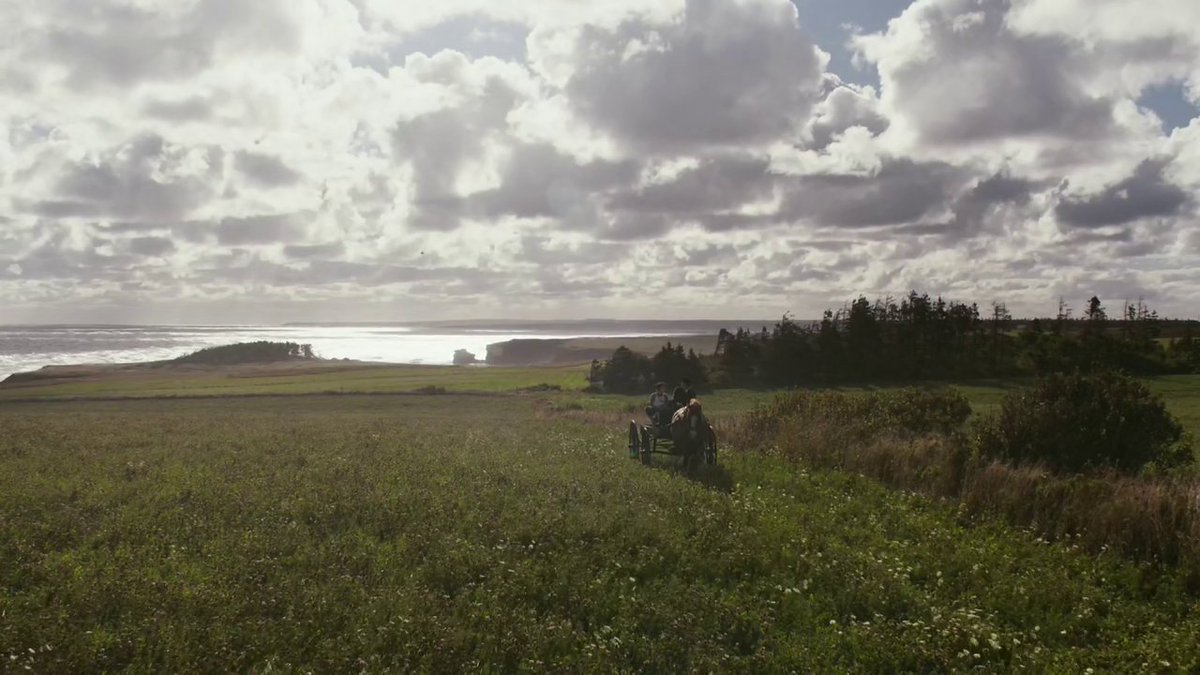  #LainaWatchesAnne The carriage ride to Green Gables is pretty much book accurate, and the scenery is pretty. It's a bit washed out, but I think it's supposed to be both very early spring and a stylistic choice to further the narrative.