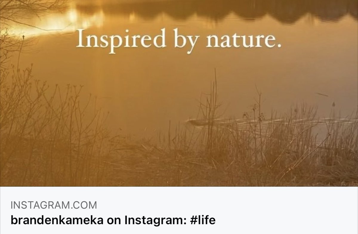 RealtorBrandenK's tweet photo. #life https://t.co/joyF85OABS https://t.co/fnqNxfnh53