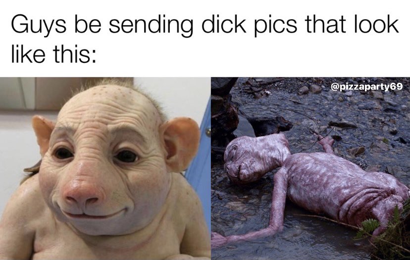 We all knows there’s only 2 types of dick pics