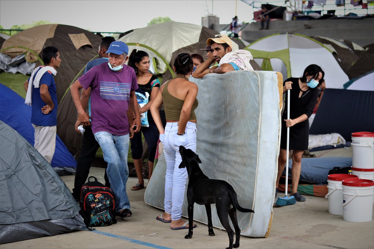 Someone's pet dog roams the shelter while newcomers set up a place to sleep on donated mattresses.