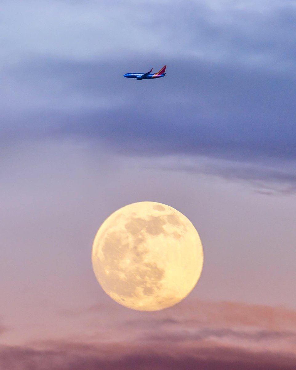 Airlines that               Werewolves
charge 
crazy fees

                           🤝 
                 Fear this photo