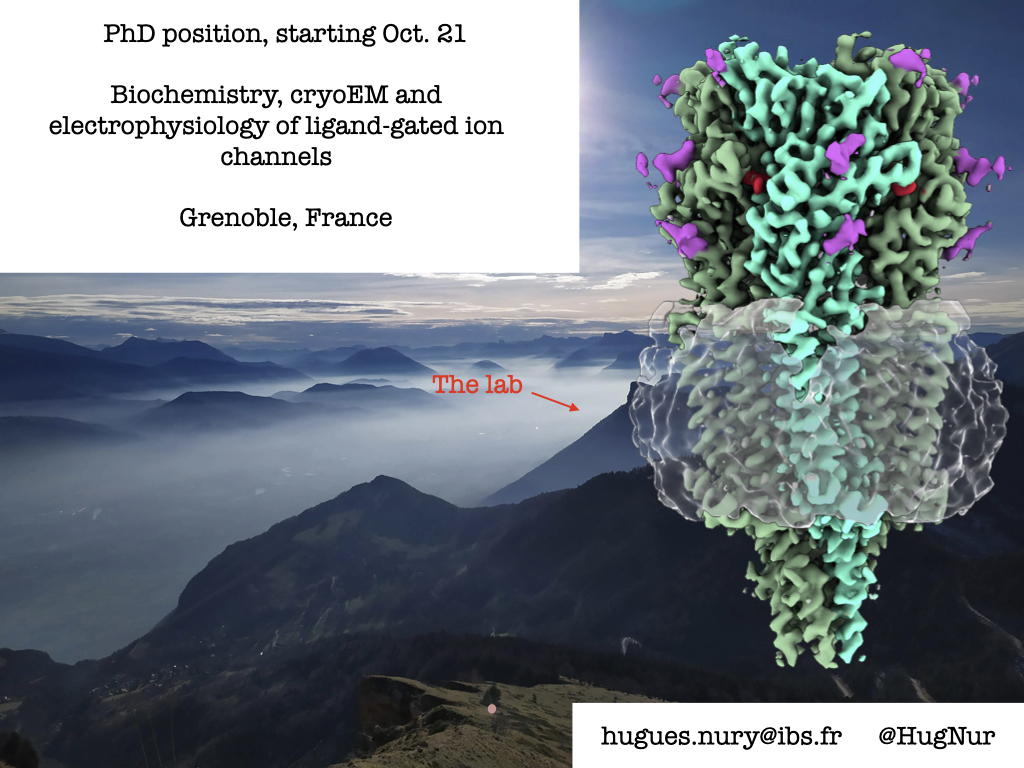 Hugues Nury tweet media