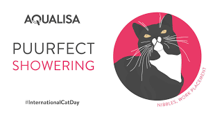 their facebook is even better, because they celebrate International Cat Daybecause nothing says "cats" like SHOWER COMPANIES