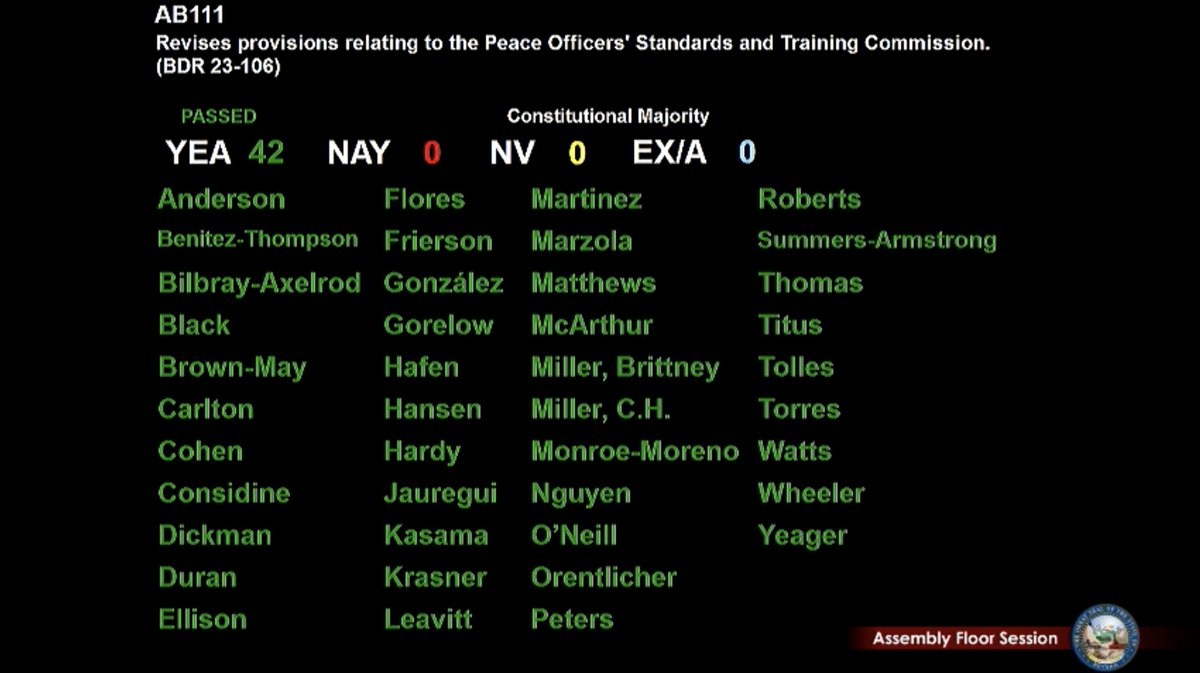 BattleBornProg's tweet photo. Implicit Bias training for police moves forward! #ab111 moves forward with more UNANIMOUS SUPPORT! #NVleg https://t.co/2Pv8b2jMf3