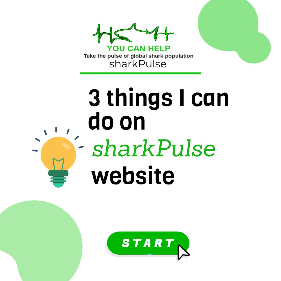 SharkPulse tweet media