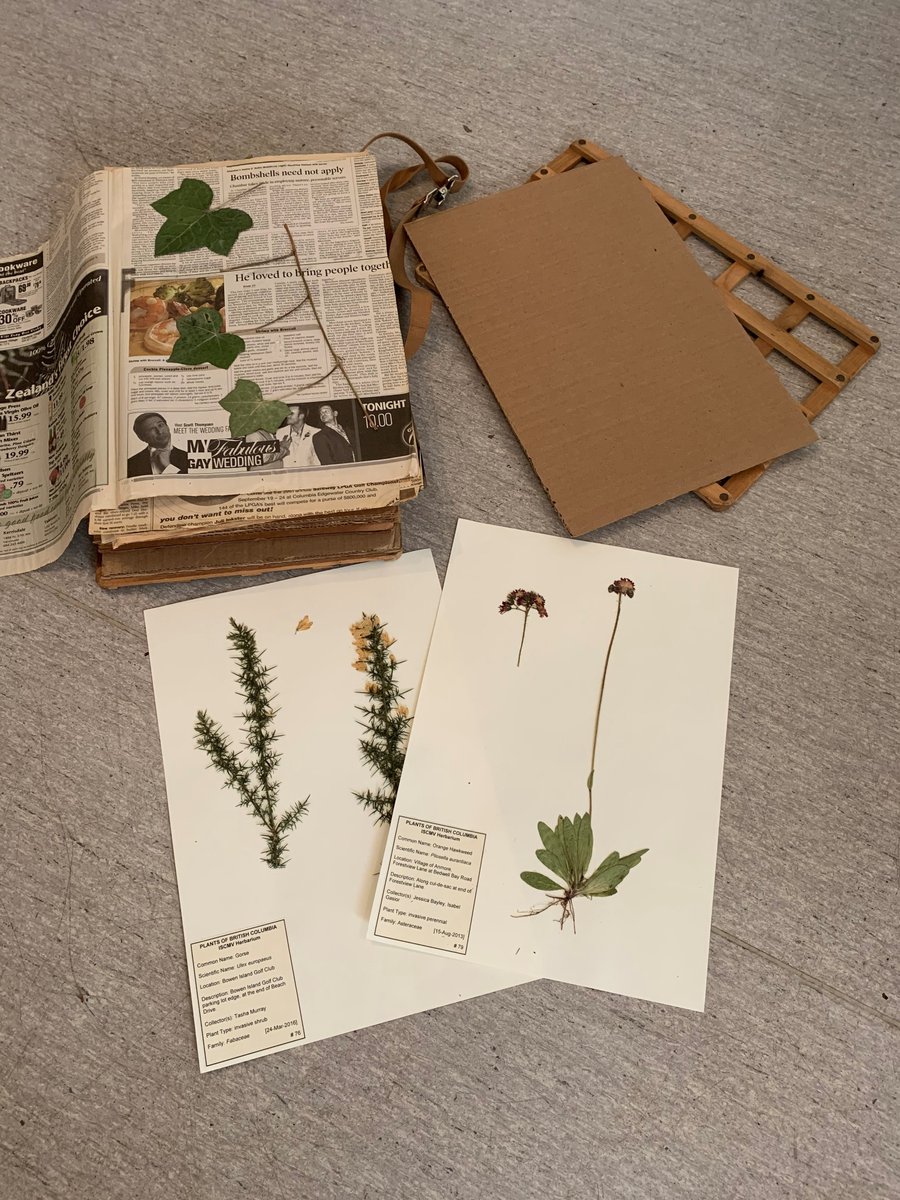 Obsessed with plants like we are? Join us for a series of free workshops this spring to learn about local plants
iscmv.ca/blog/community…
<a href="/ParkBoard/">Vancouver Board of Parks and Recreation</a> #metrovan #BCinvasives #invasivespecies #vancouverisawesome #vancouverbc #loveplants #nativeplants