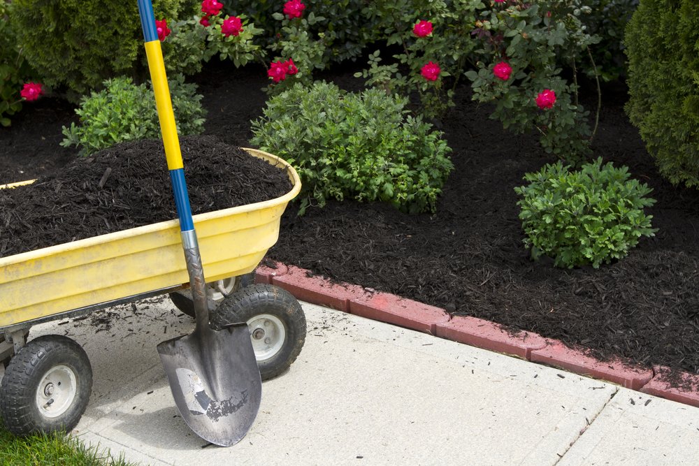 State Fire Marshal offers advice for #landscapers, #nurseries, #propertymanagers and homeowners on how to prevent #mulch fires. Proivide receptacles to dispose of smoking materials safely and store mulch piles properly. Read full press release: ow.ly/YgwR50EnPtG