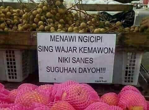 Model2 tulisan e Kak DikYul :|