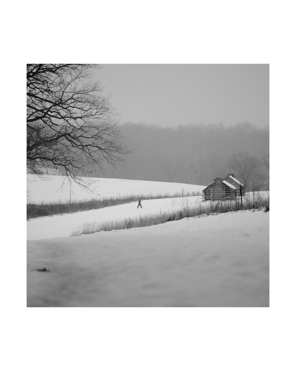 Lenny (they/them) tweet media