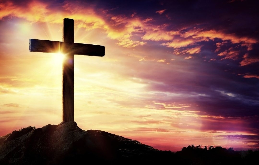 EricaElites34's tweet photo. Genesis 18:3 And said, My Lord, if now I have found favour in thy sight, pass not away, I pray thee, from thy servant:
 My last prayer for all Elites ND erica Nlewedim 🙏😴👀😘
Good night y'all 🙏🌃💤 As I close today's chapter 💗💞
#GodIswithErica
ERICA ON YOUR SCREENS https://t.co/bZec98ToaO