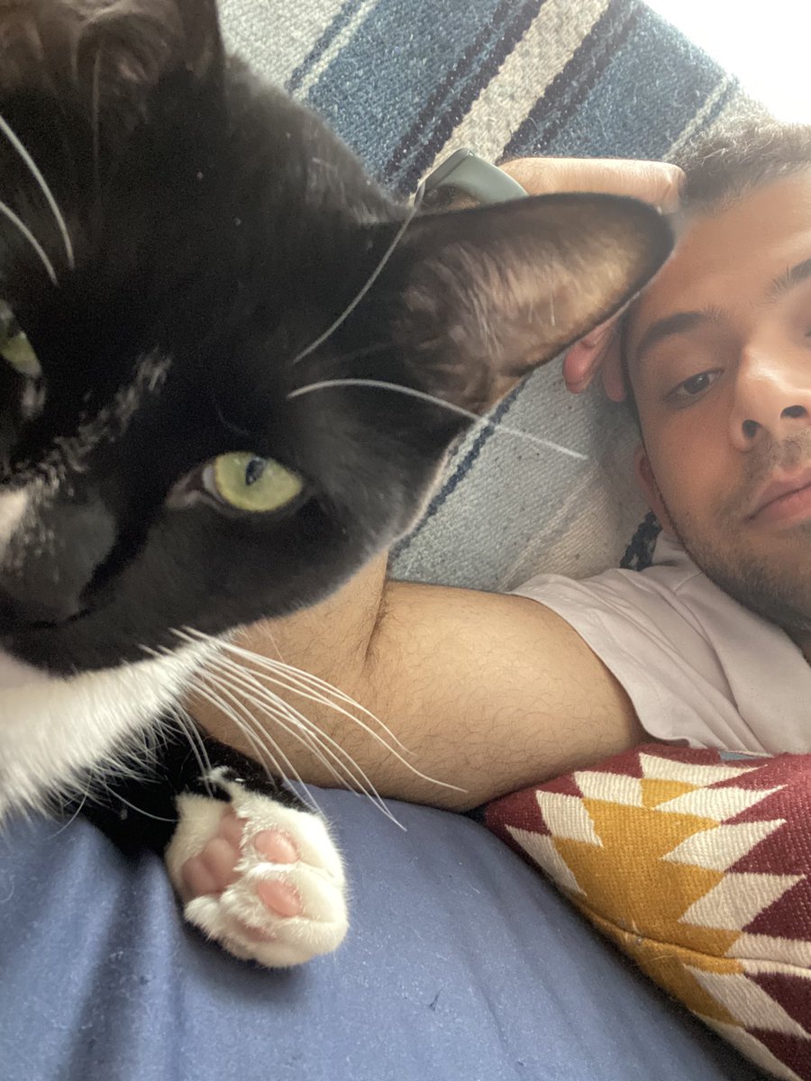 s_rayman's tweet photo. My son and I are unimpressed https://t.co/xL1QctdrEd