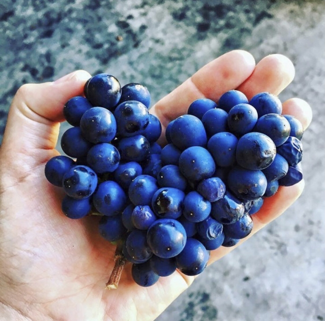 UK ZOOM CALL WITH ONEIRIC WINES - *|ONEIRICWINES|*