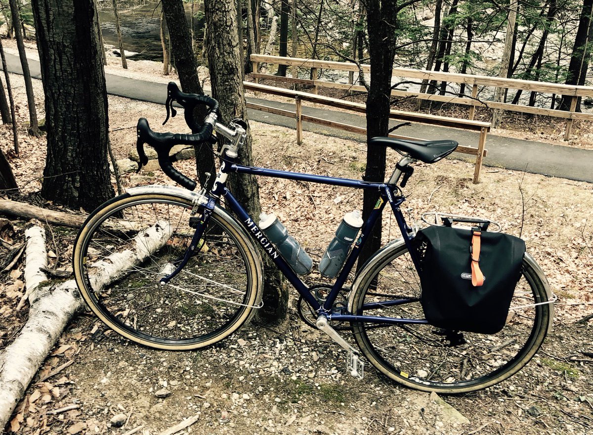 Lloyd Cole tweet media