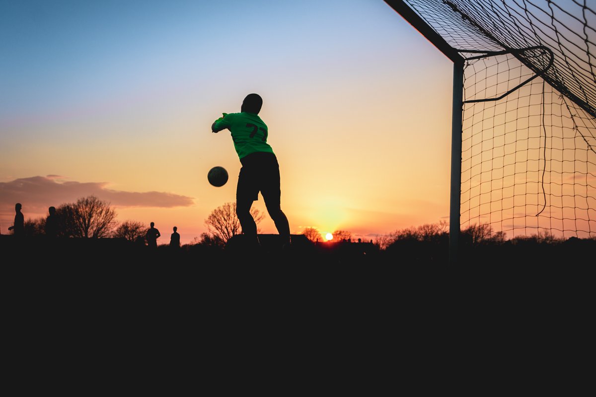 Stuart Tree tweet media