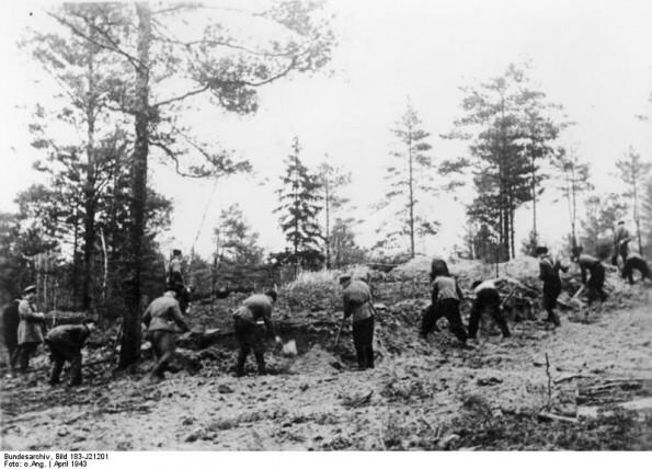 RealTimeWWII photo