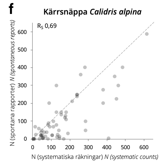 OrnisSvecica's tweet photo. “Hmm, how many Dunlins were there? Maybe 30? Let’s report 30!” Reino Andersson explores how numbers of staging #shorebirds reported by birdwatchers covary w. systematic counts. Read paper (🇸🇪, 🇬🇧 summary) #OpenAccess: https://t.co/JE6ghsTFdP!

#birds #ornithology #CitizenScience https://t.co/UrtHL8rVdt