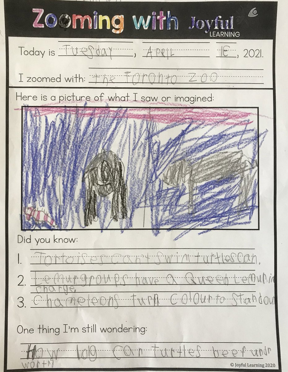 Carmen Di Lucca tweet media