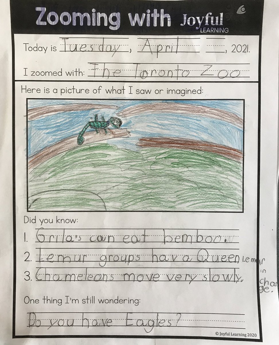 Carmen Di Lucca tweet media