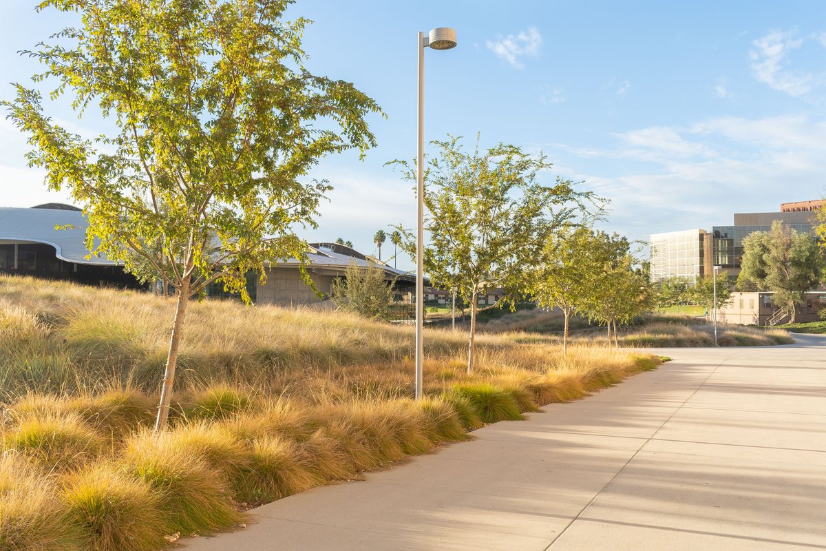 PierreLandscape's tweet photo. “A path is a prior interpretation of the best way to traverse a landscape.” - Rebecca Solnit #MondayMotivation #GrowWithPierre #PierreLandscape @calpolypomona https://t.co/PCTMlSr7BO