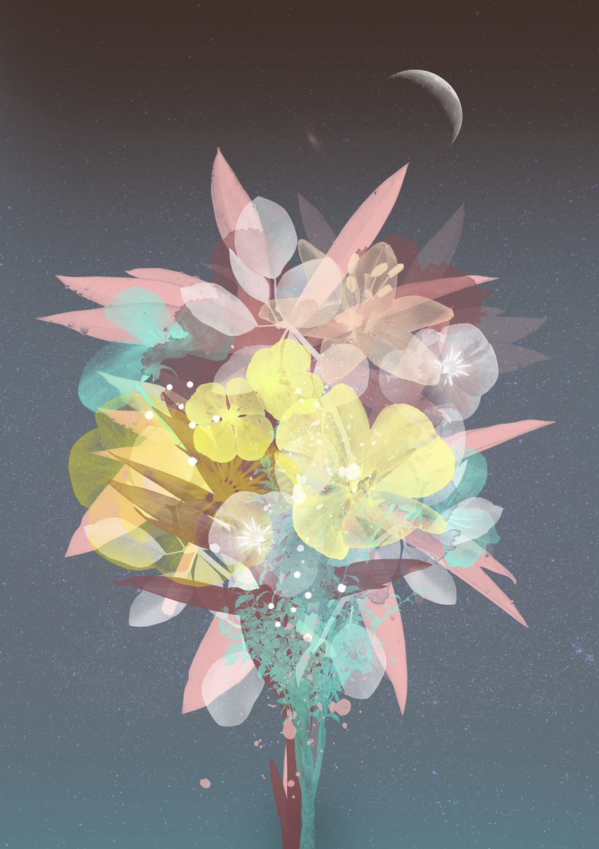 bygrida's tweet photo. I am preparing the genesis on @withFND tomorrow! which one should I mint first? :) Pink? Red? Moon? Green? Help me to pick the first artwork! Comment me :) thank you! ♥️ https://t.co/CVAdiS1jWB