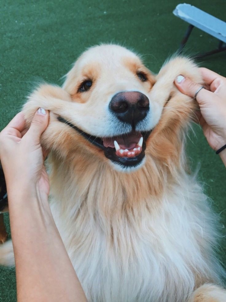 💕