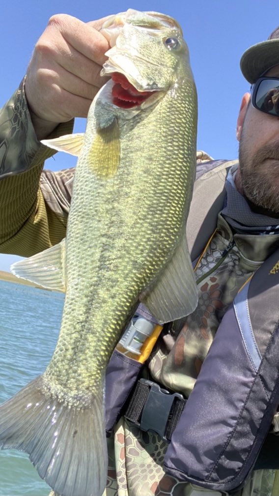 ChokeBait's tweet photo. Best one of the day for a short 2 hours on the water. I cannot complain. Life is good! https://t.co/ePrfDAmRoc