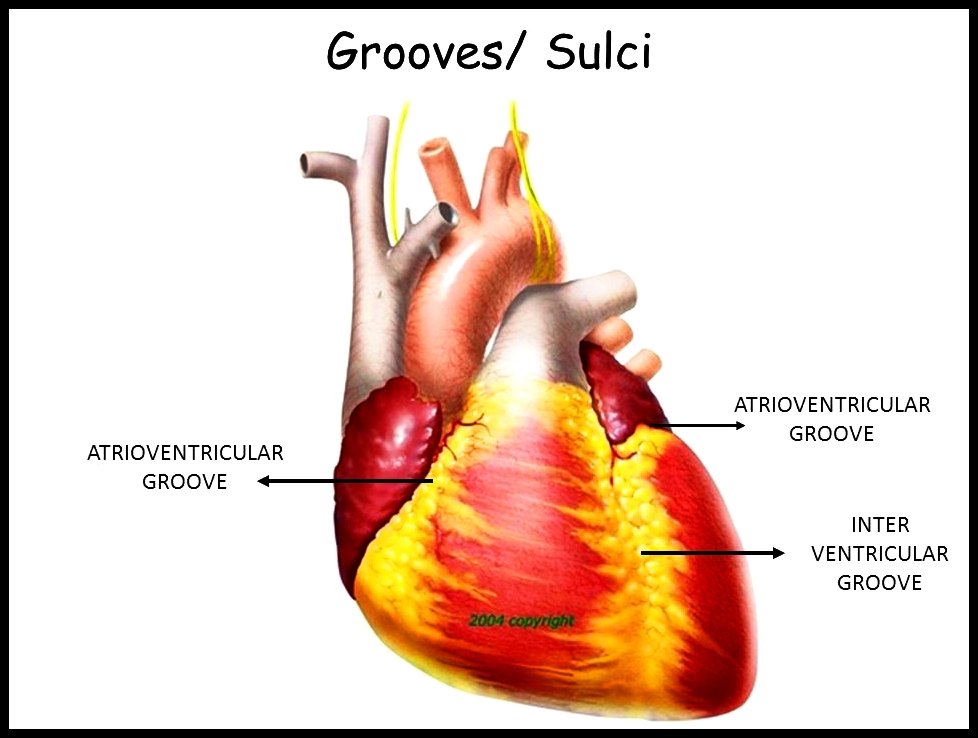 MedicohubworldW's tweet photo. Grooves Of Heart 💓 
Follow Us @MedicohubworldW 
#Heart #Doctor #Medical #dogecoin #VIVOIPL #KKRvMI #followback #follow #KeaDrive #RETWEET #Akıncı #FF #music #RIPDrSindi #SoundCloud #follobackforfolloback #SumedhsFirstVlog #love #SocialistSunday #FoundationInvite #RT https://t.co/trJ19FyDDe