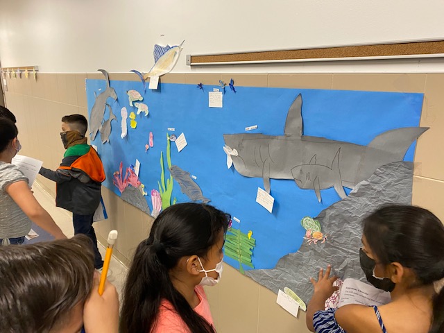 3rd Grade Diamonds tweet media