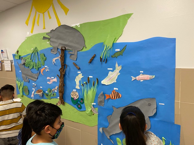 3rd Grade Diamonds tweet media